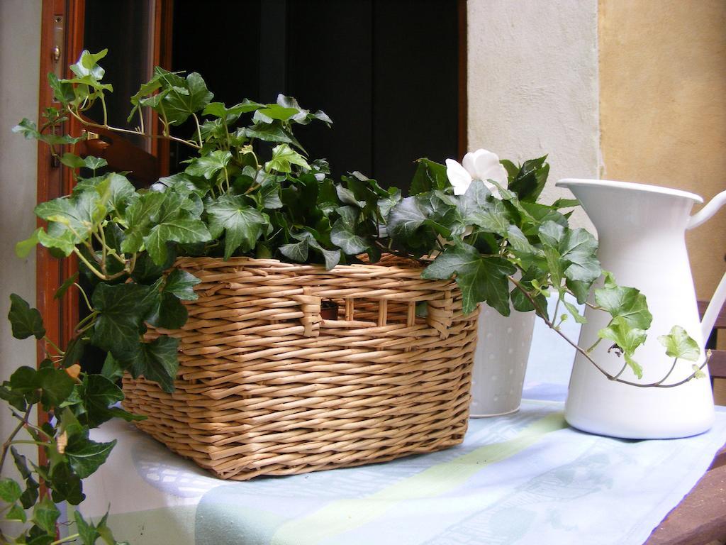 B&B Borgo Re Teodorico Верона Экстерьер фото